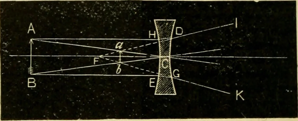 An illustration from A manual of physiology : with practical exercises / by G. N. Stewart ; with coloured plate and 467 other illustrations., 1914, leaf 996