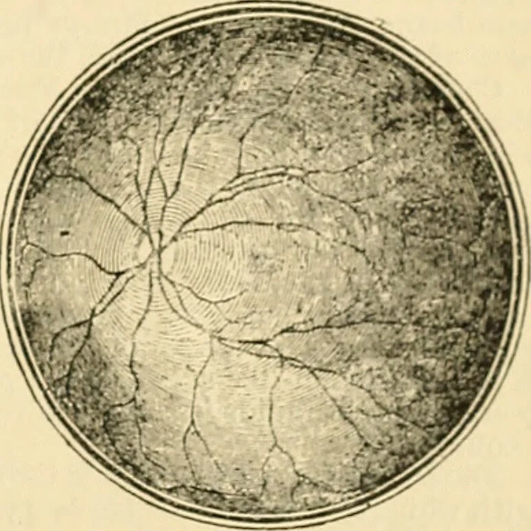 An illustration from A manual of physiology : with practical exercises / by G. N. Stewart ; with coloured plate and 467 other illustrations., 1914, leaf 999