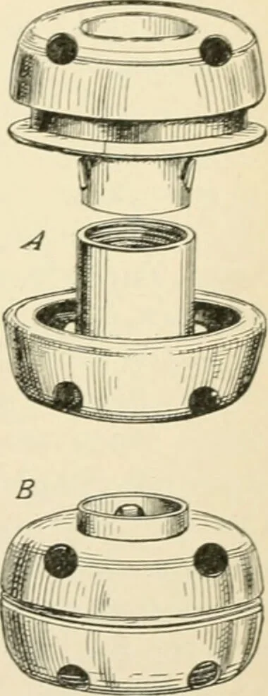 An illustration from Human physiology : prepared with special reference to students of medicine / by Joseph Howard Raymond., 1901, leaf 215