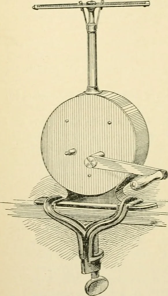 An illustration from Human physiology : prepared with special reference to students of medicine / by Joseph Howard Raymond., 1901, leaf 266