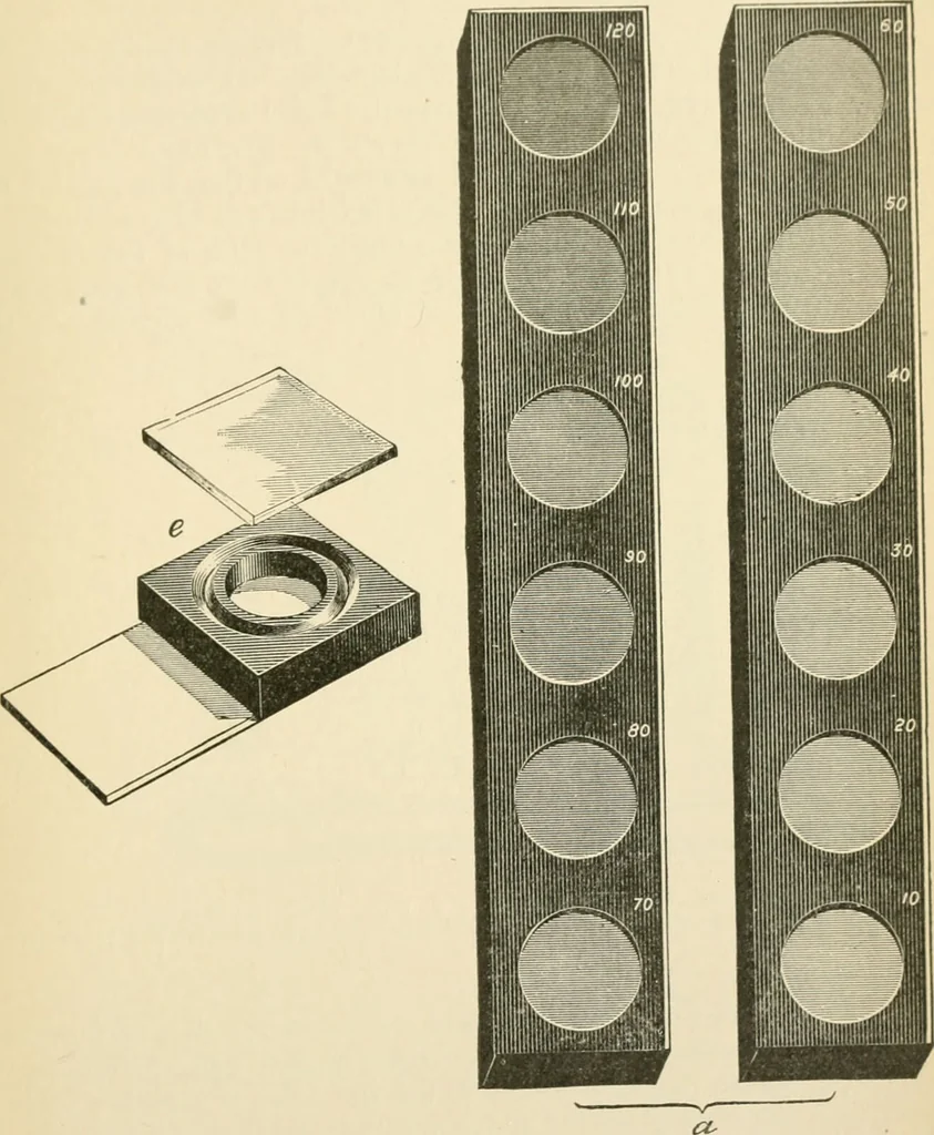 An illustration from Human physiology : prepared with special reference to students of medicine / by Joseph Howard Raymond., 1901, leaf 273
