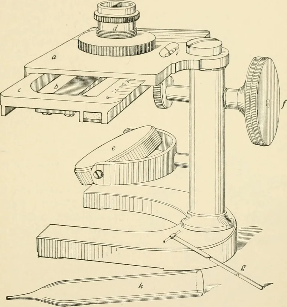 An illustration from Human physiology : prepared with special reference to students of medicine / by Joseph Howard Raymond., 1901, leaf 275
