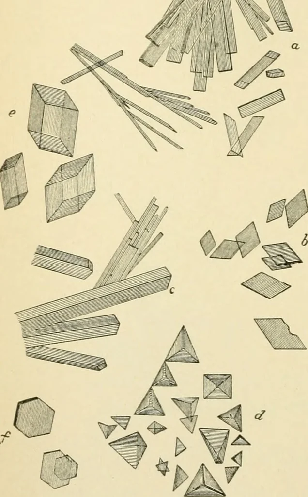 An illustration from Human physiology : prepared with special reference to students of medicine / by Joseph Howard Raymond., 1901, leaf 276