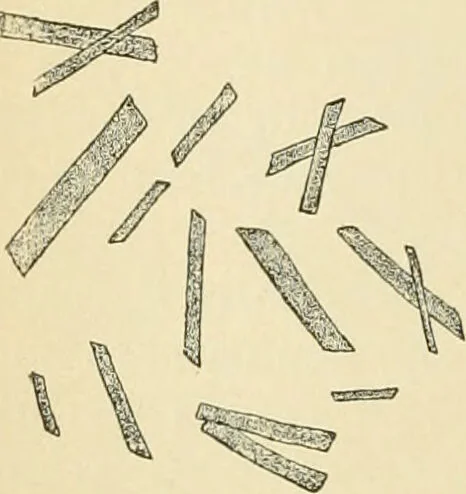 An illustration from Human physiology : prepared with special reference to students of medicine / by Joseph Howard Raymond., 1901, leaf 278