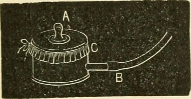 An illustration from Human physiology : prepared with special reference to students of medicine / by Joseph Howard Raymond., 1901, leaf 311
