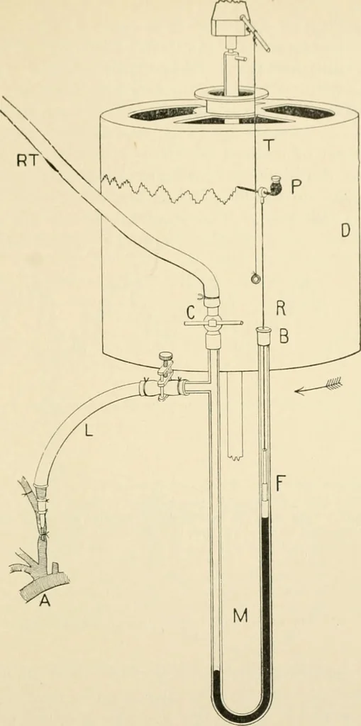 An illustration from Human physiology : prepared with special reference to students of medicine / by Joseph Howard Raymond., 1901, leaf 317