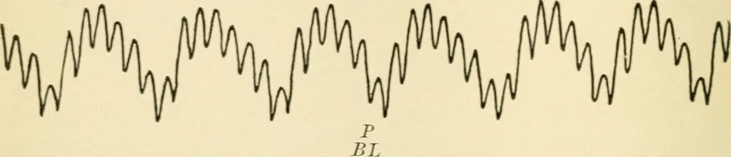 An illustration from Human physiology : prepared with special reference to students of medicine / by Joseph Howard Raymond., 1901, leaf 318