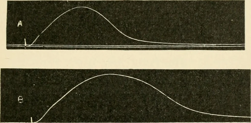 An illustration from Human physiology : prepared with special reference to students of medicine / by Joseph Howard Raymond., 1901, leaf 347