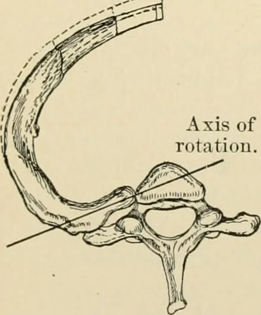 An illustration from Human physiology : prepared with special reference to students of medicine / by Joseph Howard Raymond., 1901, leaf 365