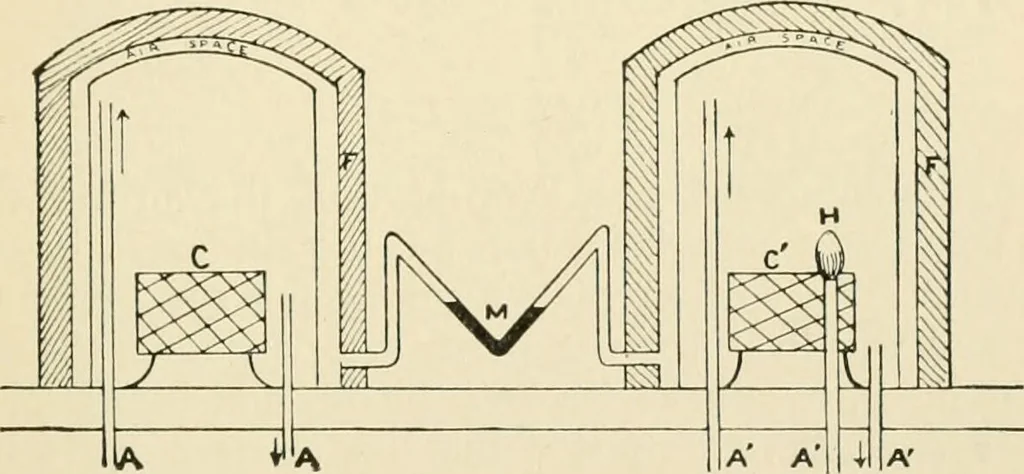 An illustration from Human physiology : prepared with special reference to students of medicine / by Joseph Howard Raymond., 1901, leaf 411
