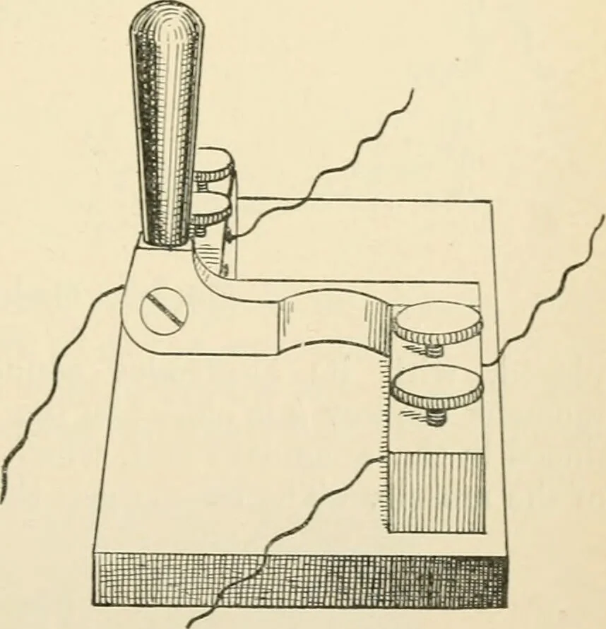 An illustration from Human physiology : prepared with special reference to students of medicine / by Joseph Howard Raymond., 1901, leaf 445