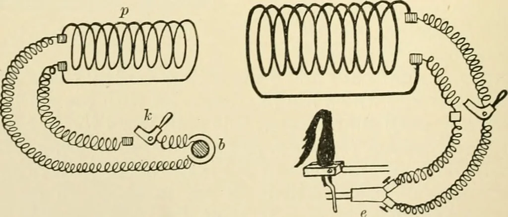 An illustration from Human physiology : prepared with special reference to students of medicine / by Joseph Howard Raymond., 1901, leaf 446