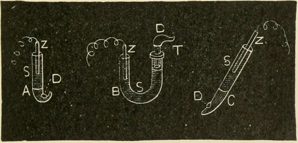 An illustration from Human physiology : prepared with special reference to students of medicine / by Joseph Howard Raymond., 1901, leaf 447