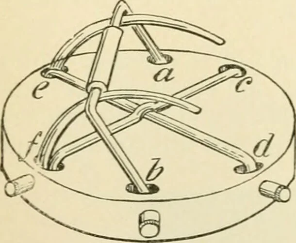 An illustration from Human physiology : prepared with special reference to students of medicine / by Joseph Howard Raymond., 1901, leaf 448