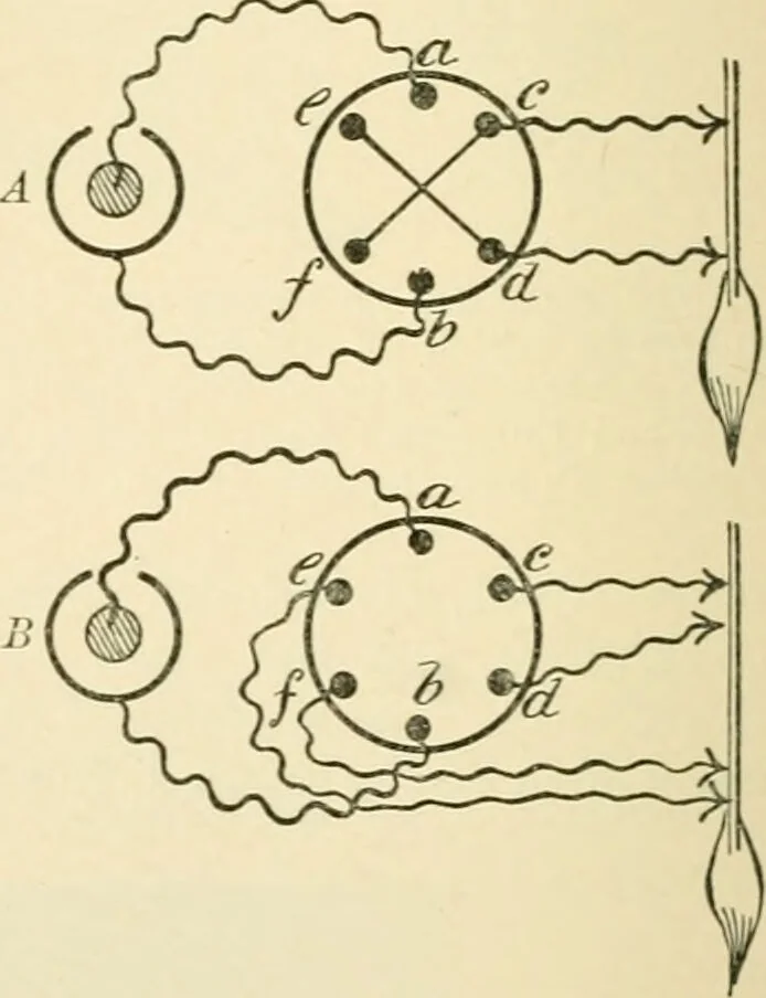 An illustration from Human physiology : prepared with special reference to students of medicine / by Joseph Howard Raymond., 1901, leaf 448