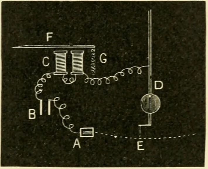 An illustration from Human physiology : prepared with special reference to students of medicine / by Joseph Howard Raymond., 1901, leaf 452