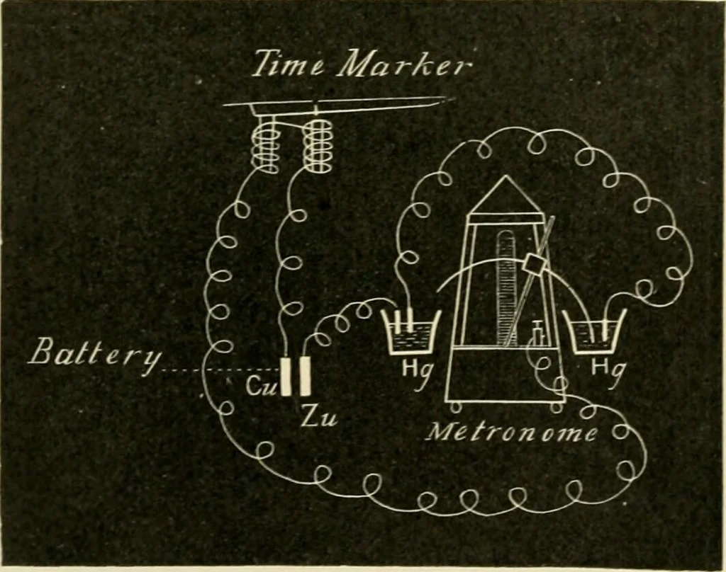 An illustration from Human physiology : prepared with special reference to students of medicine / by Joseph Howard Raymond., 1901, leaf 452