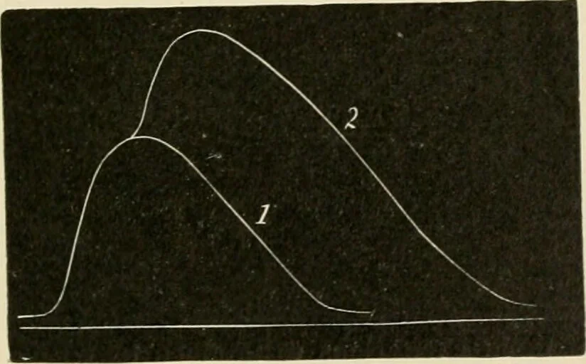 An illustration from Human physiology : prepared with special reference to students of medicine / by Joseph Howard Raymond., 1901, leaf 453