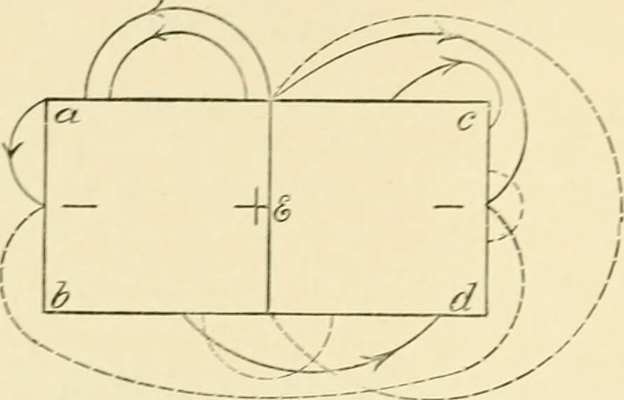An illustration from Human physiology : prepared with special reference to students of medicine / by Joseph Howard Raymond., 1901, leaf 458