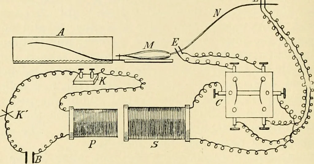 An illustration from Human physiology : prepared with special reference to students of medicine / by Joseph Howard Raymond., 1901, leaf 466