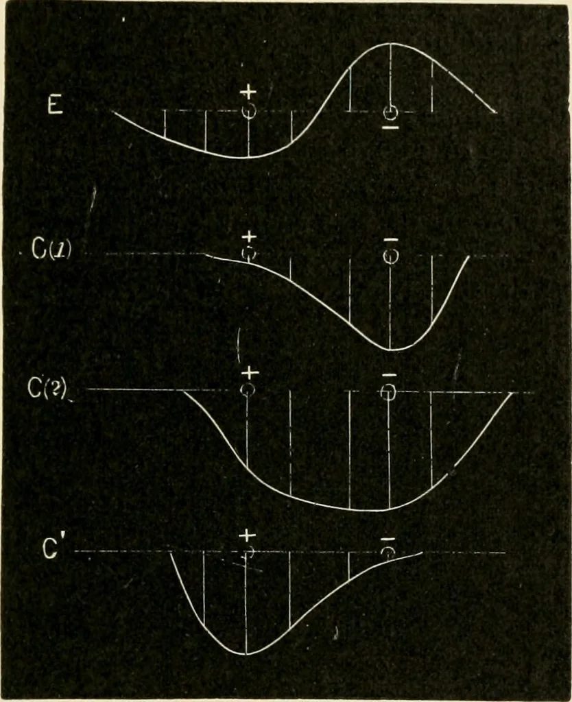 An illustration from Human physiology : prepared with special reference to students of medicine / by Joseph Howard Raymond., 1901, leaf 467