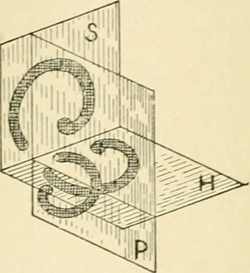 An illustration from Human physiology : prepared with special reference to students of medicine / by Joseph Howard Raymond., 1901, leaf 494
