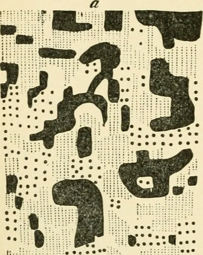 An illustration from Human physiology : prepared with special reference to students of medicine / by Joseph Howard Raymond., 1901, leaf 530