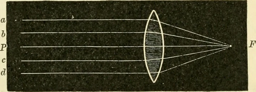 An illustration from Human physiology : prepared with special reference to students of medicine / by Joseph Howard Raymond., 1901, leaf 560