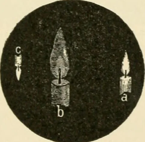An illustration from Human physiology : prepared with special reference to students of medicine / by Joseph Howard Raymond., 1901, leaf 565
