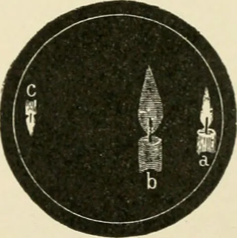 An illustration from Human physiology : prepared with special reference to students of medicine / by Joseph Howard Raymond., 1901, leaf 565
