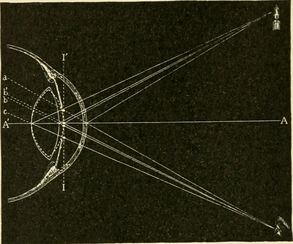 An illustration from Human physiology : prepared with special reference to students of medicine / by Joseph Howard Raymond., 1901, leaf 566