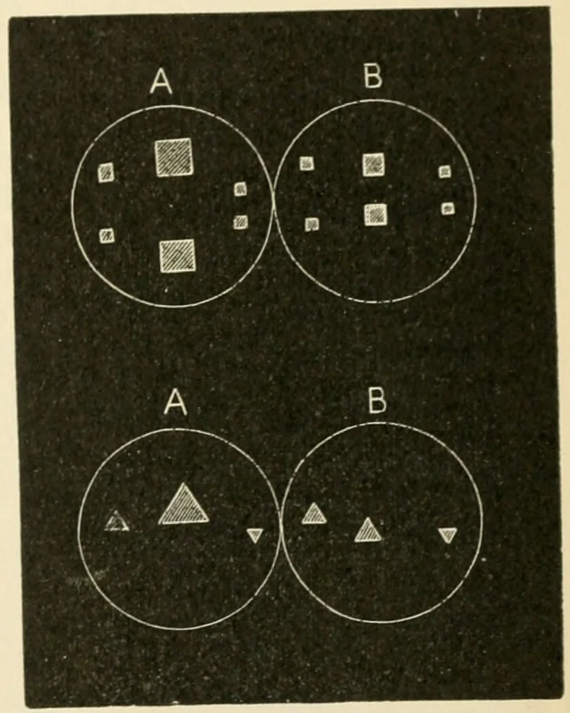 An illustration from Human physiology : prepared with special reference to students of medicine / by Joseph Howard Raymond., 1901, leaf 567