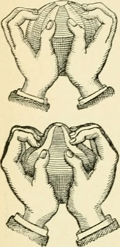 An illustration from Human physiology : prepared with special reference to students of medicine / by Joseph Howard Raymond., 1901, leaf 568
