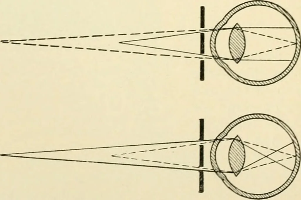 An illustration from Human physiology : prepared with special reference to students of medicine / by Joseph Howard Raymond., 1901, leaf 568