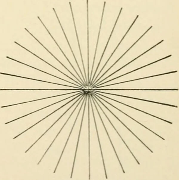An illustration from Human physiology : prepared with special reference to students of medicine / by Joseph Howard Raymond., 1901, leaf 571