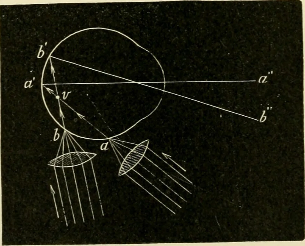 An illustration from Human physiology : prepared with special reference to students of medicine / by Joseph Howard Raymond., 1901, leaf 576