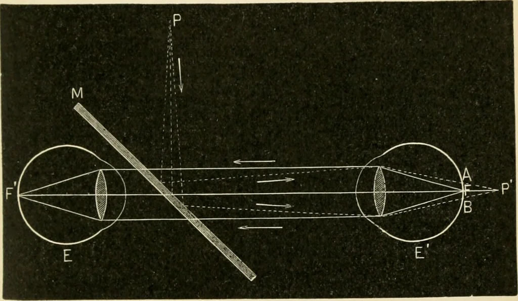 An illustration from Human physiology : prepared with special reference to students of medicine / by Joseph Howard Raymond., 1901, leaf 577