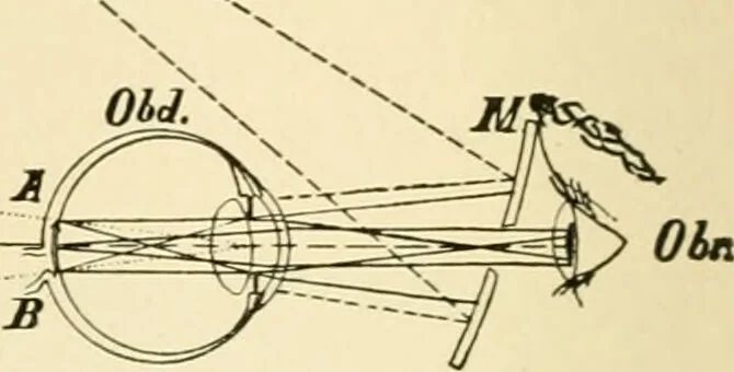 An illustration from Human physiology : prepared with special reference to students of medicine / by Joseph Howard Raymond., 1901, leaf 578