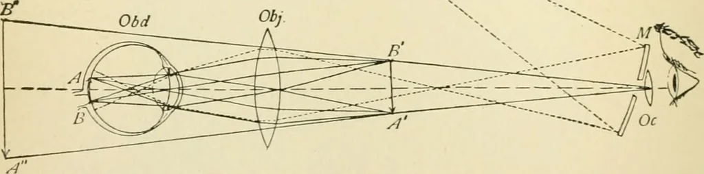 An illustration from Human physiology : prepared with special reference to students of medicine / by Joseph Howard Raymond., 1901, leaf 578