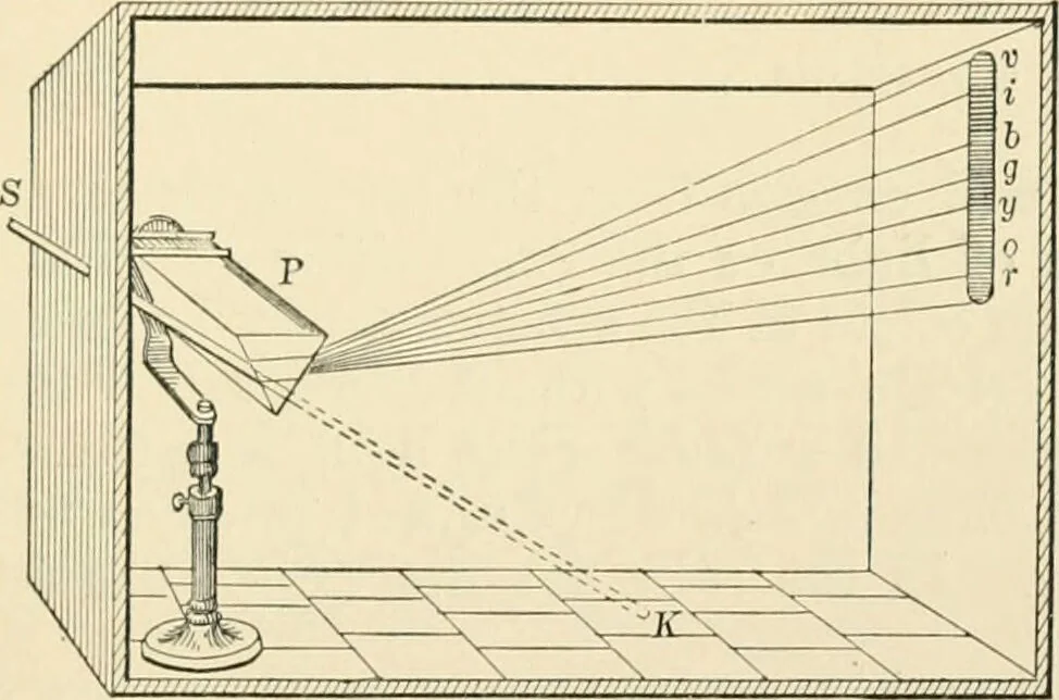 An illustration from Human physiology : prepared with special reference to students of medicine / by Joseph Howard Raymond., 1901, leaf 583