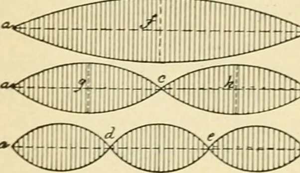 An illustration from Human physiology : prepared with special reference to students of medicine / by Joseph Howard Raymond., 1901, leaf 618