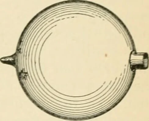 An illustration from Human physiology : prepared with special reference to students of medicine / by Joseph Howard Raymond., 1901, leaf 619