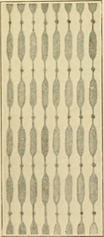An illustration from Human physiology : prepared with special reference to students of medicine / by Joseph Howard Raymond., 1901, leaf 62