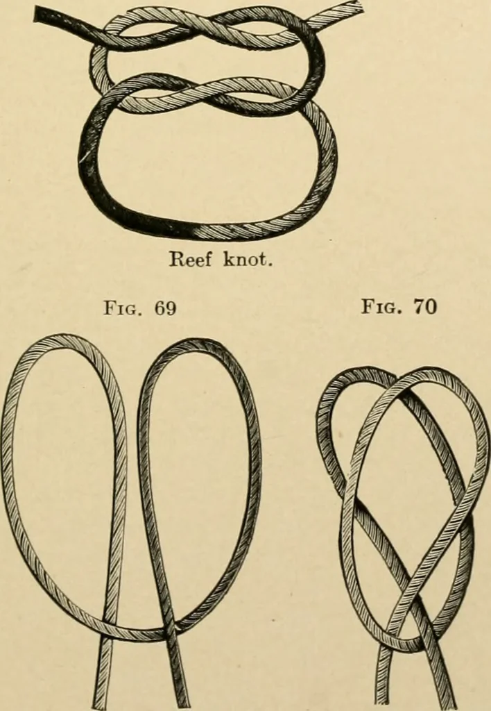 An illustration from The principles and practice of modern surgery / by Roswell Park ... with 722 engravings and 60 full-page plates in colors and monochrome., 1907, leaf 269