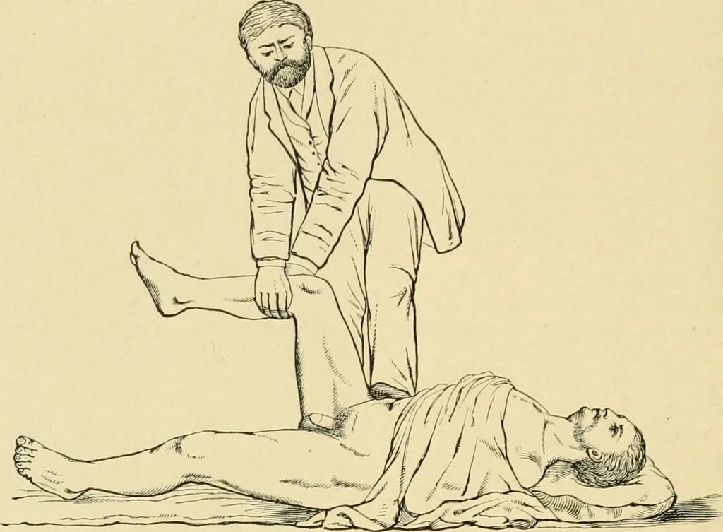 An illustration from The principles and practice of modern surgery / by Roswell Park ... with 722 engravings and 60 full-page plates in colors and monochrome., 1907, leaf 626
