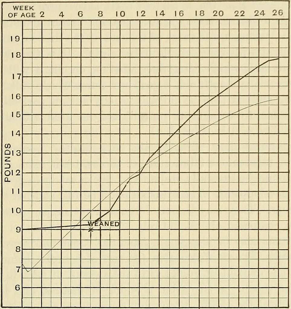 An illustration from The diseases of infancy and childhood : for the use of students and practitioners of medicine / by L. Emmett Holt and John Howland., 1911, leaf 203