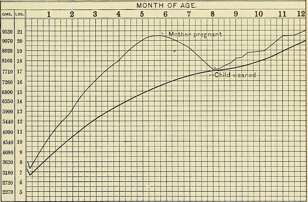 An illustration from The diseases of infancy and childhood : for the use of students and practitioners of medicine / by L. Emmett Holt and John Howland., 1911, leaf 205