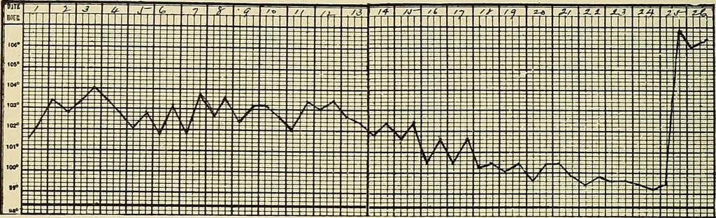 An illustration from The diseases of infancy and childhood : for the use of students and practitioners of medicine / by L. Emmett Holt and John Howland., 1911, leaf 972