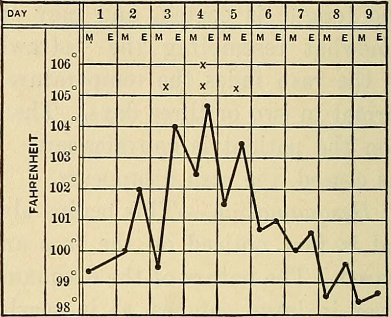 An illustration from The diseases of infancy and childhood : for the use of students and practitioners of medicine / by L. Emmett Holt and John Howland., 1911, leaf 990