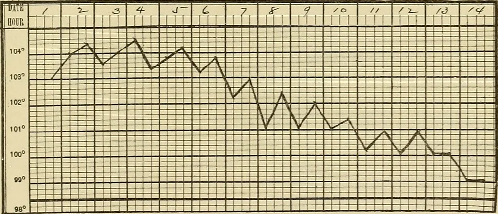 An illustration from The diseases of infancy and childhood : for the use of students and practitioners of medicine / by L. Emmett Holt with two hundred and forty-one illustrations, including eight coloured plates., 1908, leaf 1007